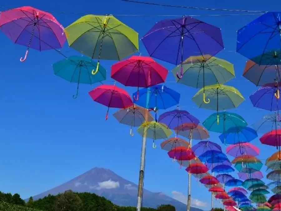 梅雨の季節！