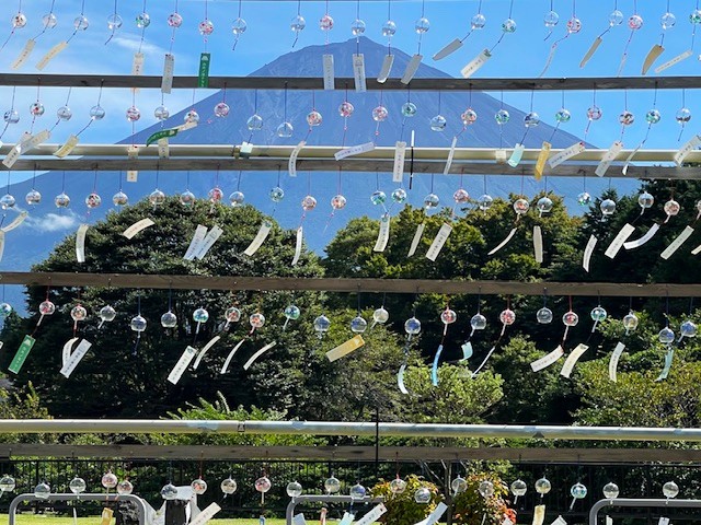 🌞夏季休暇のお知らせ🌞